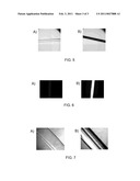 Coated Fibers for Culturing Cells diagram and image