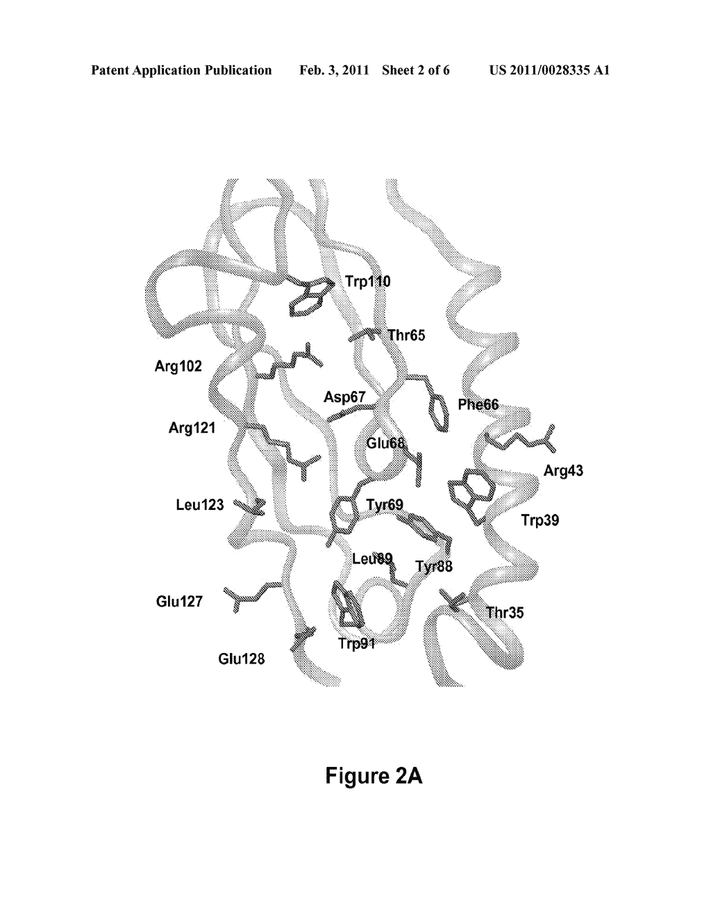 Ligands For The GLP-1 Receptor And Methods For Discovery Thereof - diagram, schematic, and image 03