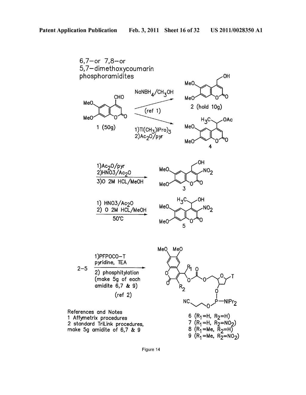 PHOTOCLEAVABLE PROTECTING GROUPS - diagram, schematic, and image 17