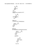 PHOTOCLEAVABLE PROTECTING GROUPS diagram and image