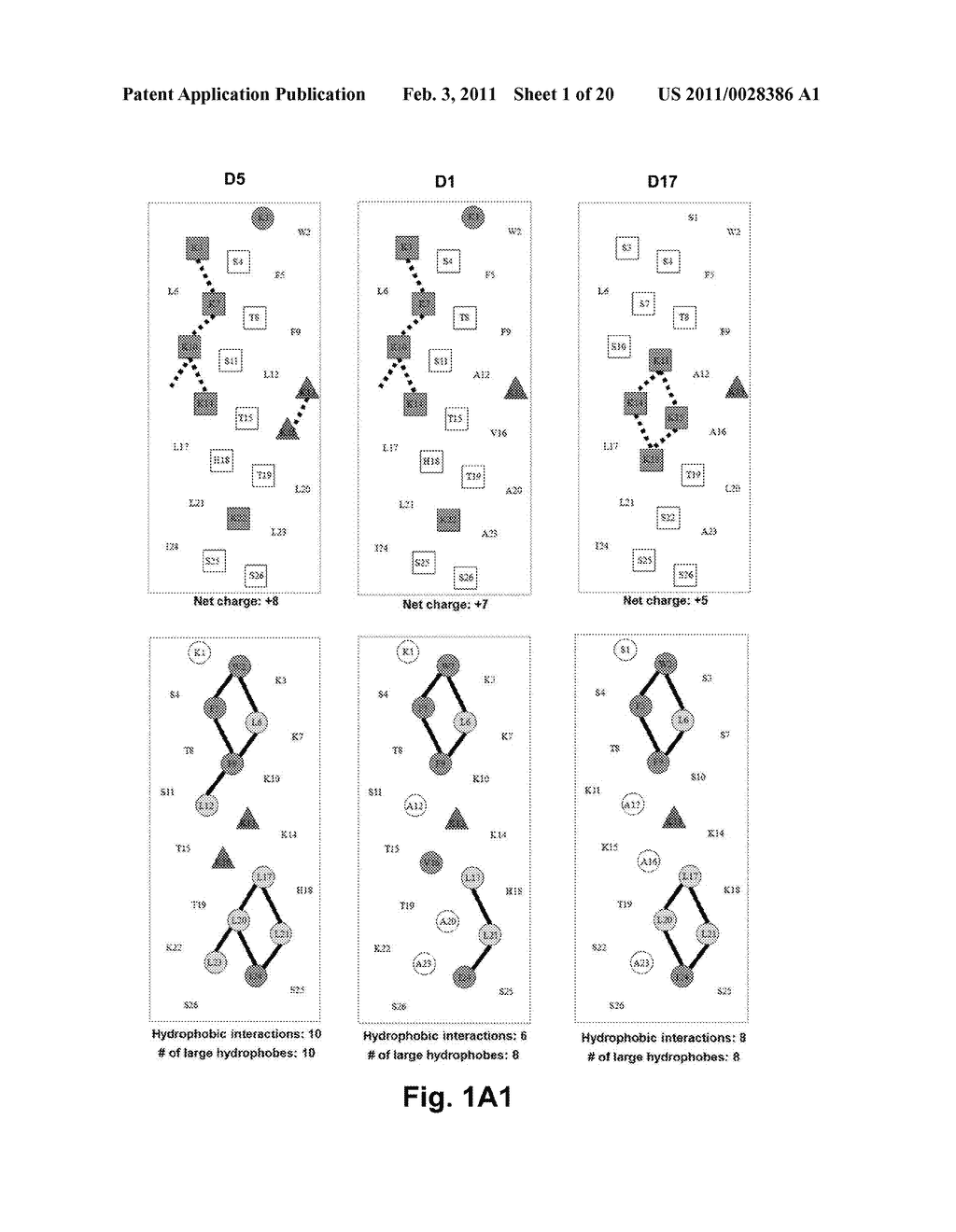 Antimicrobial Peptides - diagram, schematic, and image 02