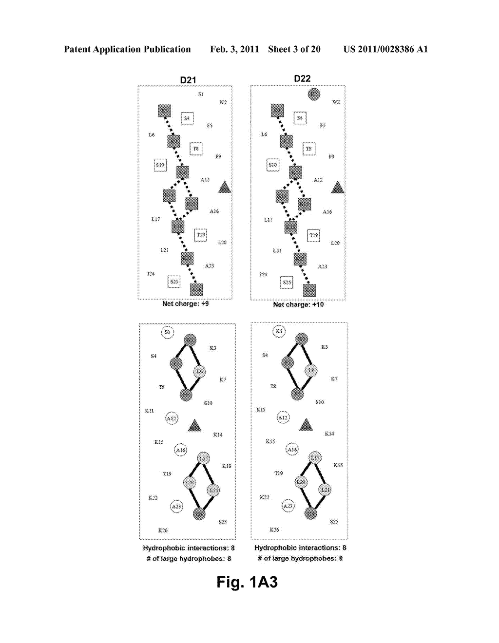 Antimicrobial Peptides - diagram, schematic, and image 04