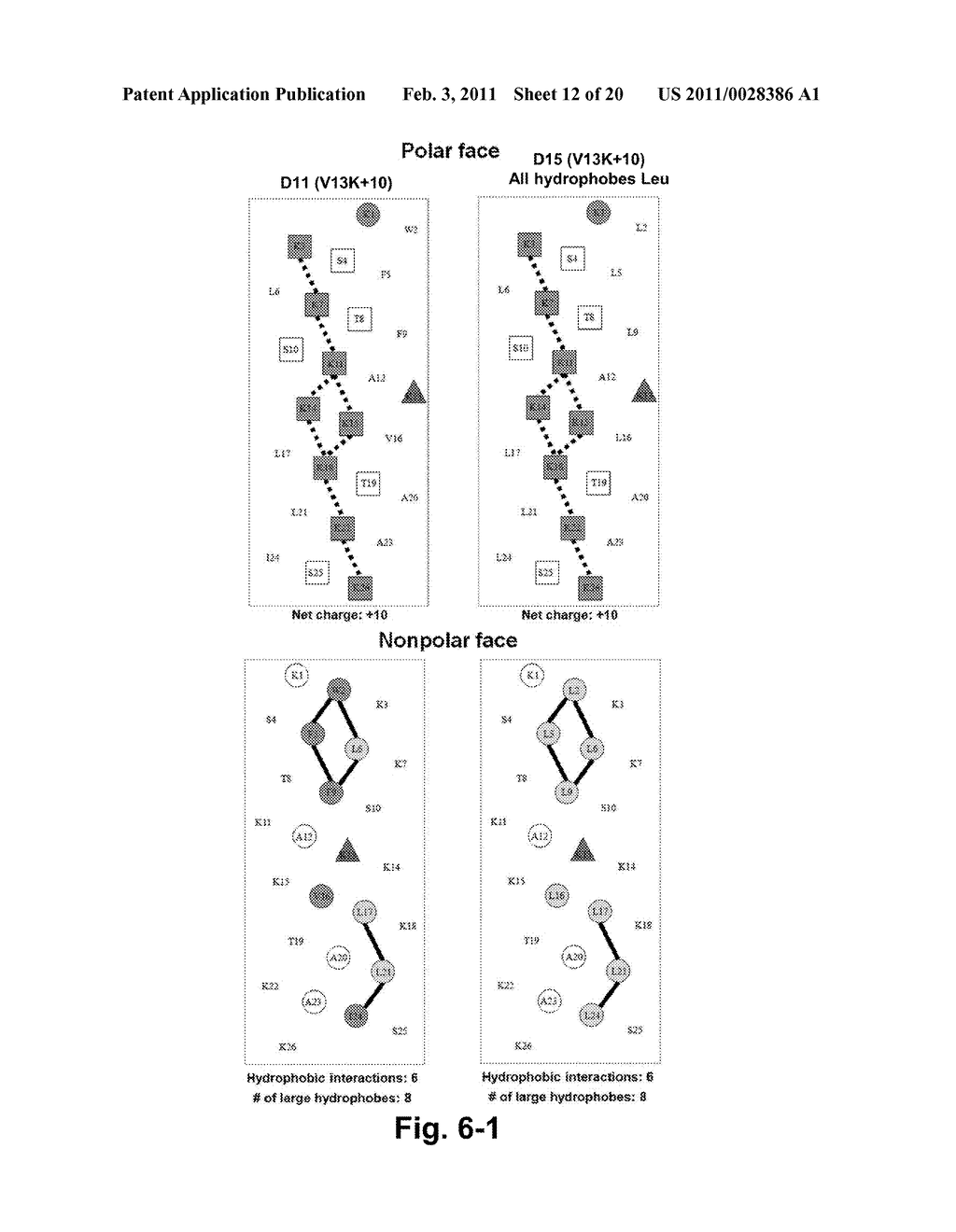 Antimicrobial Peptides - diagram, schematic, and image 13