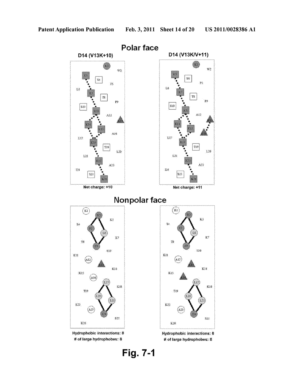 Antimicrobial Peptides - diagram, schematic, and image 15