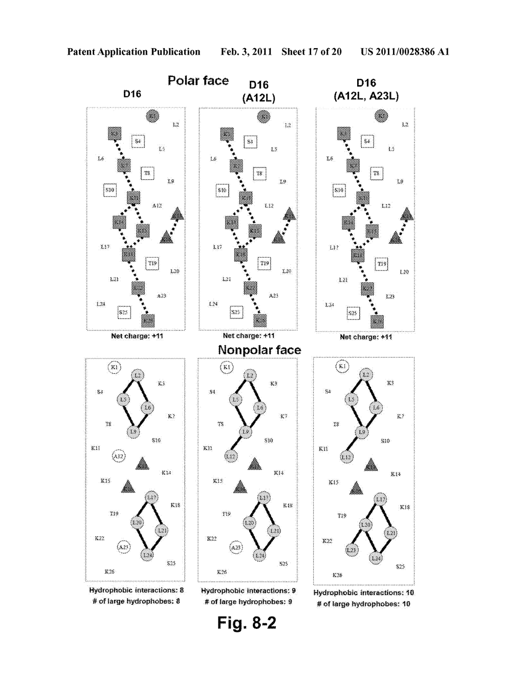 Antimicrobial Peptides - diagram, schematic, and image 18