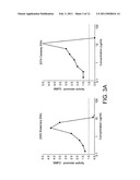 NUTRITIONAL COMPOSITIONS FOR PROMOTION OF BONE GROWTH AND MAINTENANCE OF BONE HEALTH COMPRISING EXTRACTS OF FOR EXAMPLE ROSEMARY OR CARAWAY diagram and image