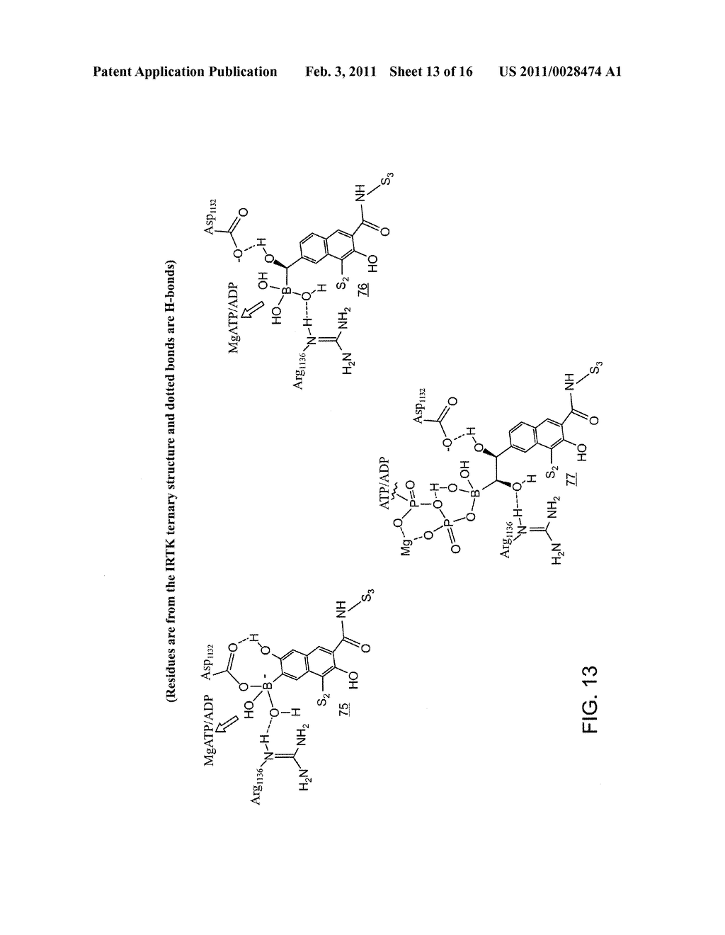 PROTEIN KINASE AND PHOSPHATASE INHIBITORS - diagram, schematic, and image 14