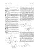 TETRAHYDROISOQUINOLINE SULFONAMIDE DERIVATIVES, THE PREPARATION THEREOF, AND THE USE OF THE SAME IN THERAPEUTICS diagram and image