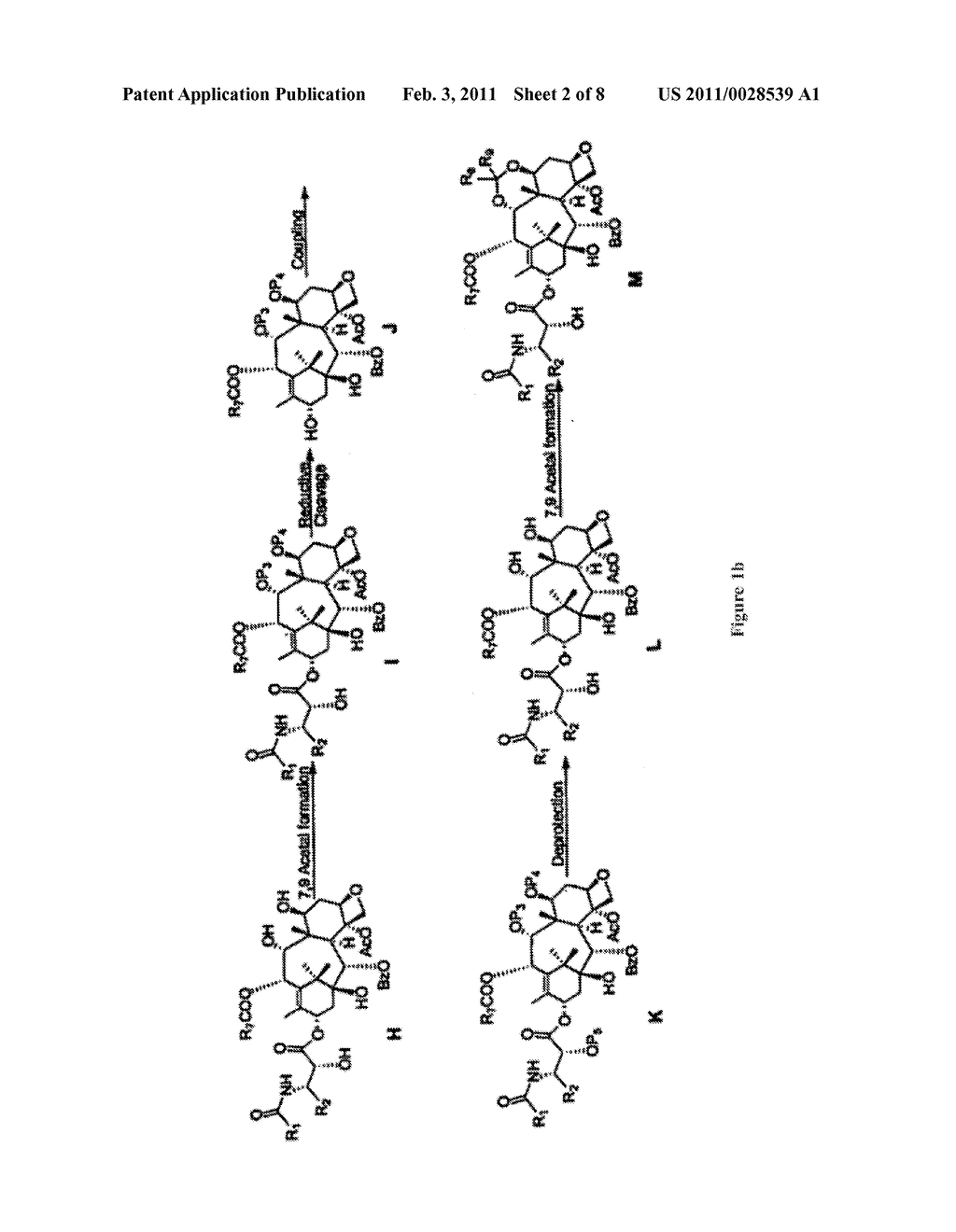 Biologically active taxane analogs and methods of treatment - diagram, schematic, and image 03