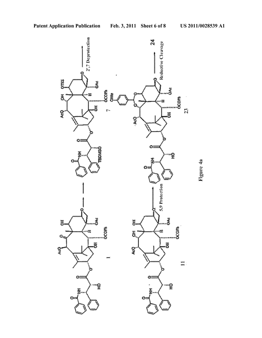 Biologically active taxane analogs and methods of treatment - diagram, schematic, and image 07