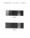 SELF-STRATIFYING COATING diagram and image