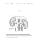 PEG-COATED CORE-SHELL SILICA NANOPARTICLES AND METHODS OF MANUFACTURE AND USE diagram and image