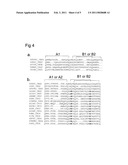 CRYSTAL STRUCTURE OF OX40L AND OX40L COMPLEXED WITH OX40 RECEPTOR diagram and image