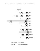 NOVEL BAG PROTEINS AND NUCLEIC ACID MOLECULES ENCODING THEM diagram and image