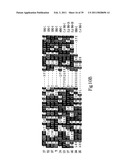 NOVEL BAG PROTEINS AND NUCLEIC ACID MOLECULES ENCODING THEM diagram and image