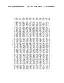 NOVEL BAG PROTEINS AND NUCLEIC ACID MOLECULES ENCODING THEM diagram and image