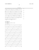 NOVEL BAG PROTEINS AND NUCLEIC ACID MOLECULES ENCODING THEM diagram and image