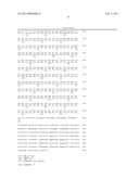 NOVEL BAG PROTEINS AND NUCLEIC ACID MOLECULES ENCODING THEM diagram and image