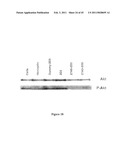 METHOD FOR OBTAINING POLYPEPTIDE CONSTRUCTS COMPRISING TWO OR MORE SINGLE DOMAIN ANTIBODIES diagram and image