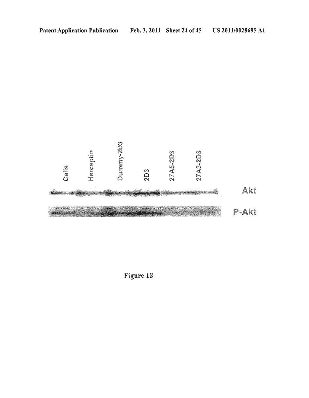 METHOD FOR OBTAINING POLYPEPTIDE CONSTRUCTS COMPRISING TWO OR MORE SINGLE DOMAIN ANTIBODIES - diagram, schematic, and image 25