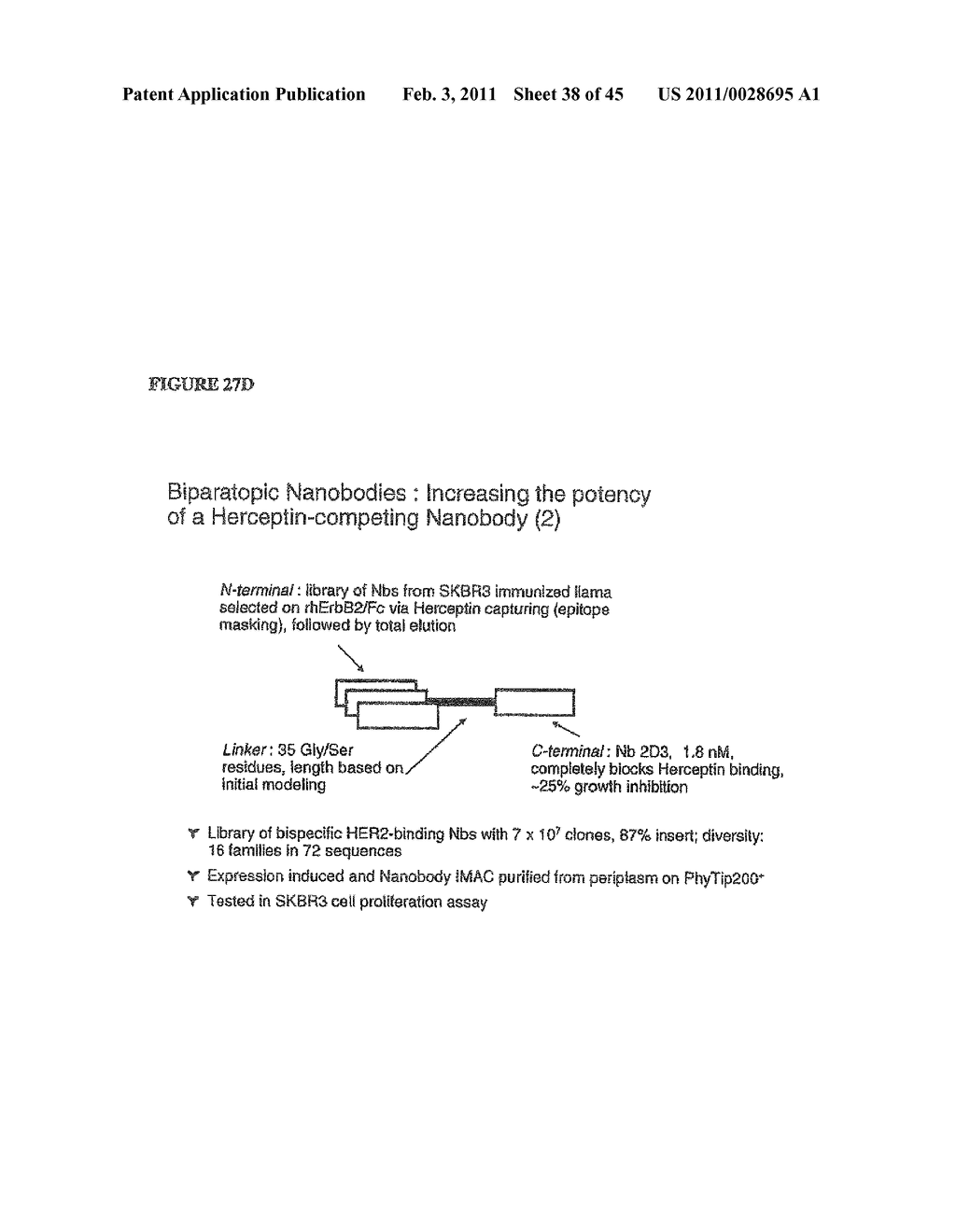 METHOD FOR OBTAINING POLYPEPTIDE CONSTRUCTS COMPRISING TWO OR MORE SINGLE DOMAIN ANTIBODIES - diagram, schematic, and image 39