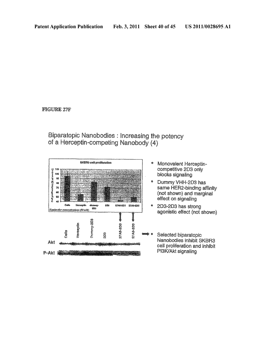 METHOD FOR OBTAINING POLYPEPTIDE CONSTRUCTS COMPRISING TWO OR MORE SINGLE DOMAIN ANTIBODIES - diagram, schematic, and image 41