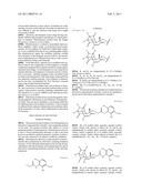 Novel Platensimycin Derivatives, Their Intermediates, and Process for Preparing the Same, and New Process for Preparing Platensimycin diagram and image