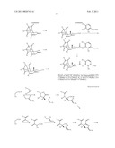 Novel Platensimycin Derivatives, Their Intermediates, and Process for Preparing the Same, and New Process for Preparing Platensimycin diagram and image