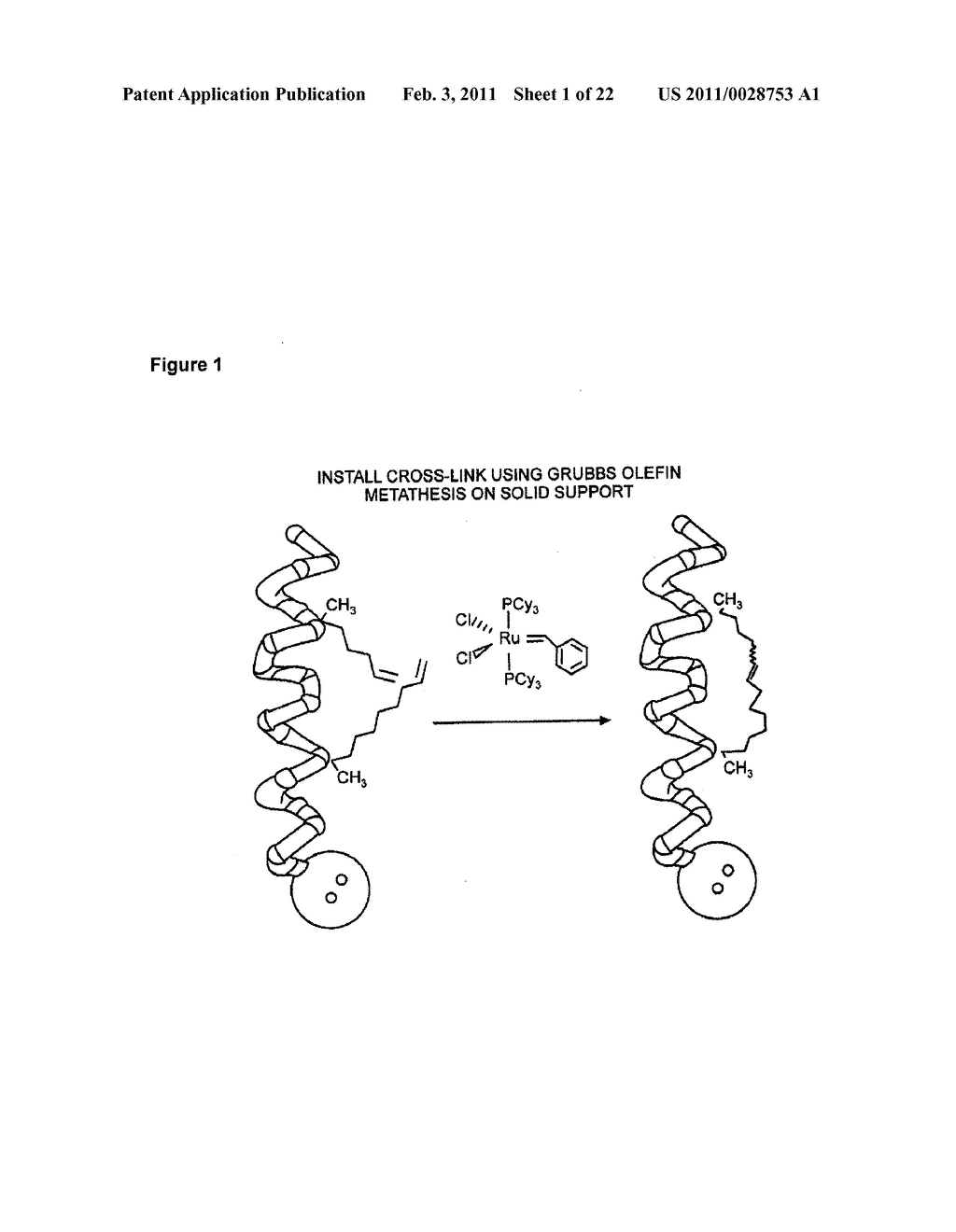 Stabilized Compounds Having Secondary Structure Motifs - diagram, schematic, and image 02