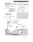 MULTI-LUMEN ENDOSCOPIC ACCESSORY AND SYSTEM diagram and image