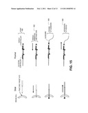 MULTI-LUMEN ENDOSCOPIC ACCESSORY AND SYSTEM diagram and image