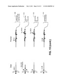 MULTI-LUMEN ENDOSCOPIC ACCESSORY AND SYSTEM diagram and image