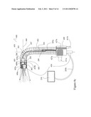 DISPOSABLE ENDOSCOPIC ACCESS DEVICE AND PORTABLE DISPLAY diagram and image