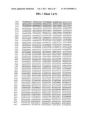 CORN EVENT DAS-59122-7 AND METHODS FOR DETECTION THEREOF diagram and image