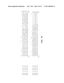 Disease resistance genes diagram and image