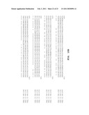 Disease resistance genes diagram and image