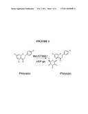 Glycosyltransferases, Polynucleotides Encoding These And Methods Of Use diagram and image