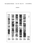 Glycosyltransferases, Polynucleotides Encoding These And Methods Of Use diagram and image