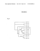 Glycosyltransferases, Polynucleotides Encoding These And Methods Of Use diagram and image