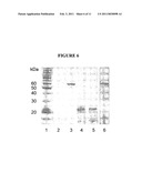 Glycosyltransferases, Polynucleotides Encoding These And Methods Of Use diagram and image