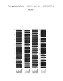 Glycosyltransferases, Polynucleotides Encoding These And Methods Of Use diagram and image