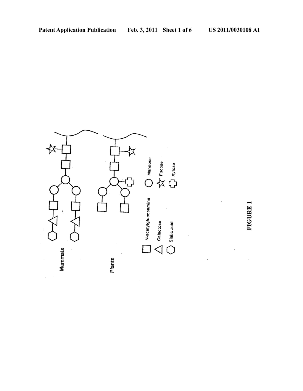 MAMMALIAN-TYPE GLYCOSYLATION IN PLANTS - diagram, schematic, and image 02