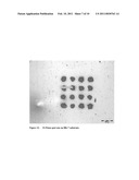 Solar Panel Apparatus Created By Laser Etched Gratings on Glass Substrate diagram and image