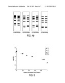 GEL COMPOSITION diagram and image