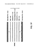 TRANSACTION CARD diagram and image