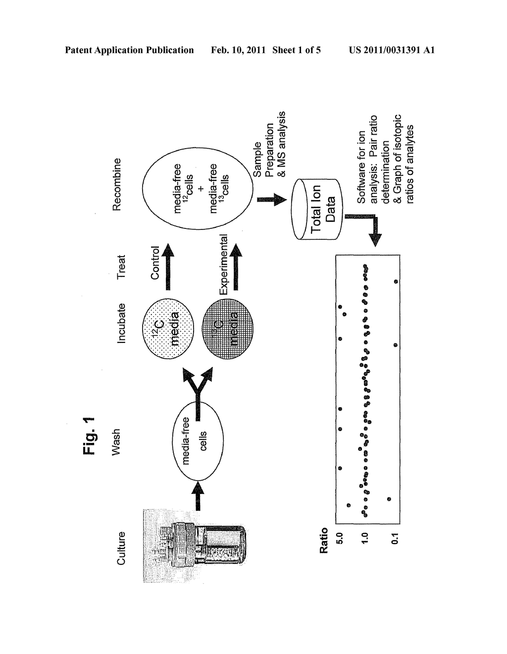 METHOD FOR GENERATION AND USE OF ISOTOPIC PATTERNS IN MASS SPECTRAL DATA OF SIMPLE ORGANISMS - diagram, schematic, and image 02