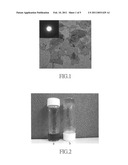 Use of exfoliated clay nanoplatelets and method for encapsulating cations diagram and image