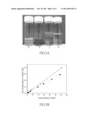 Use of exfoliated clay nanoplatelets and method for encapsulating cations diagram and image