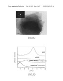 Use of exfoliated clay nanoplatelets and method for encapsulating cations diagram and image