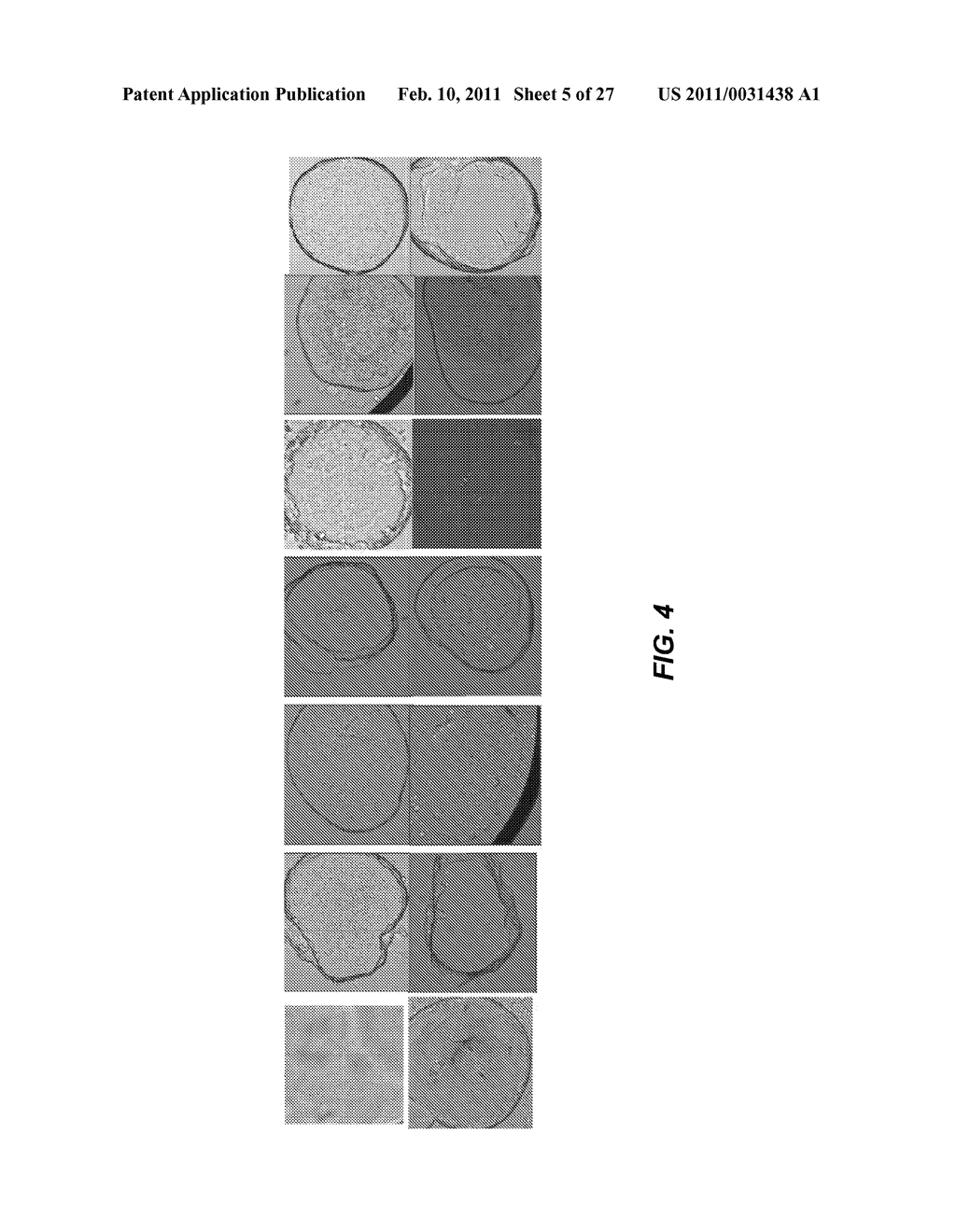 METHODS AND COMPOSITIONS FOR OBTAINING HIGH-RESOLUTION CRYSTALS OF MEMBRANE PROTEINS - diagram, schematic, and image 06